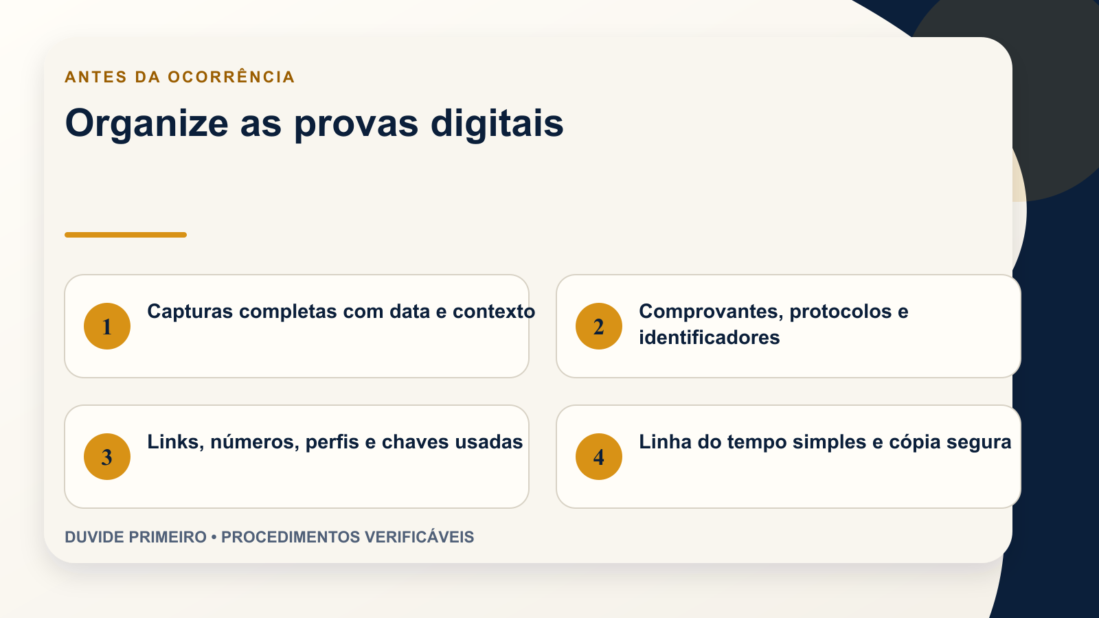 Infográfico com itens para organizar provas digitais